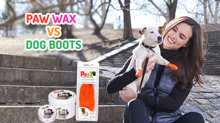 Paw Wax Vs Dog Boots