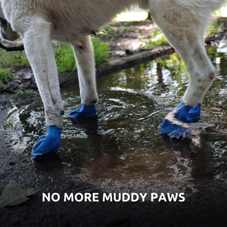 PawZ Rubber Dog Boots, 12 Boots