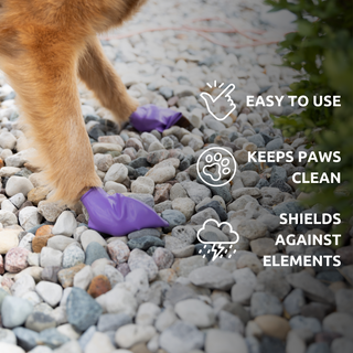 PawZ Rubber Dog Boots, 12 Boots