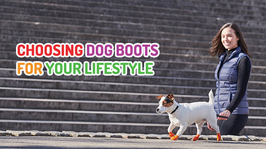 Choosing Dog Boots For Your Lifestyle