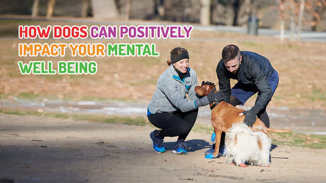 How Dogs Can Positively Impact Your Mental Well Being