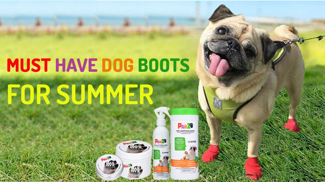 Must Have Dog Boots For Summer