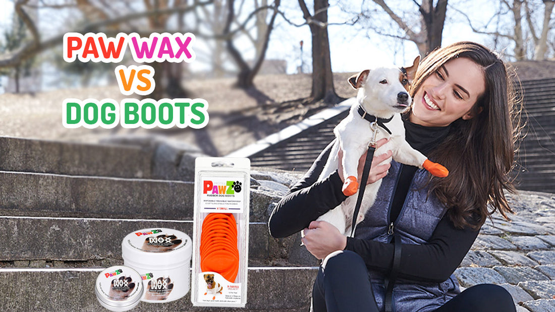 Paw Wax Vs Dog Boots