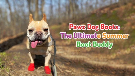 Pawz Dog Boots: The Ultimate Summer Boot Buddy