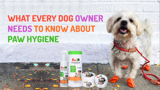 What Every Dog Owner Needs To Know About Paw Hygiene