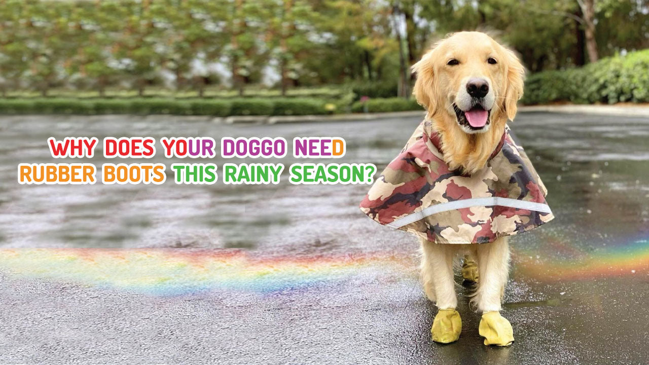 Rubber boots 2024 for dogs