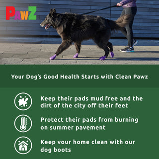 Paw Care Bundle