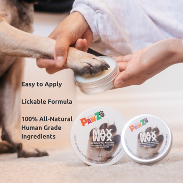The Boots + Balm Kit – PawzDogBoots