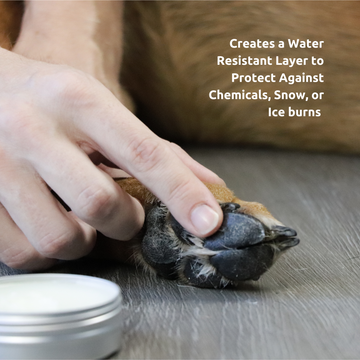 Paw balm for snow best sale