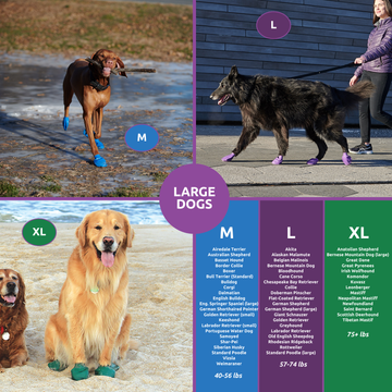 PawZ Rubber Dog Boots, 12 Boots, Olive – PawzDogBoots