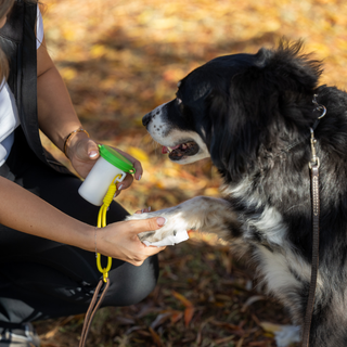 PawZ SANIPAW® Unscented, Odor-Eliminating Paw Wipes for Dogs