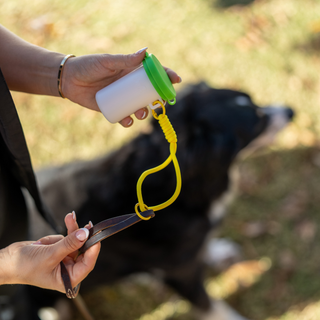 PawZ SANIPAW® Unscented, Odor-Eliminating Paw Wipes for Dogs