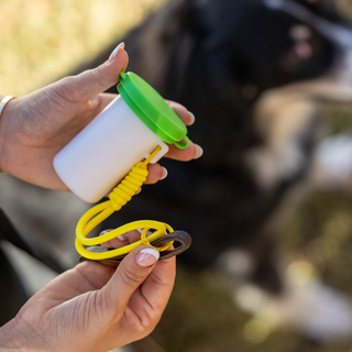 PawZ SANIPAW® Unscented, Odor-Eliminating Paw Wipes for Dogs