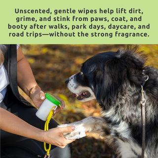 The On-The-Go Paw Care Kit – SaniPaw™ Wipes + Max Wax™ Balm Travel Stick