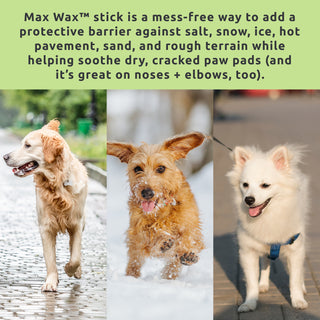 The On-The-Go Paw Care Kit – SaniPaw™ Wipes + Max Wax™ Balm Travel Stick