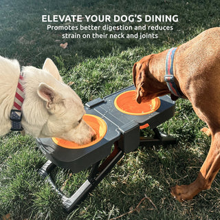 PawZ Elevated Travel Feeder