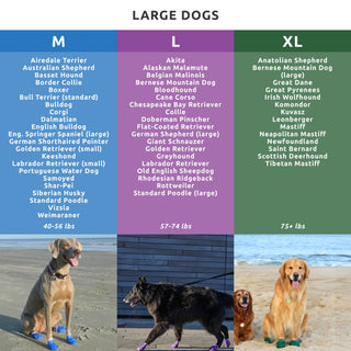 PawZ Rubber Dog Boots, 12 Boots, Classic Colors