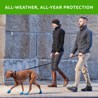 PawZ Rubber Dog Boots, 12 Boots, Classic Colors