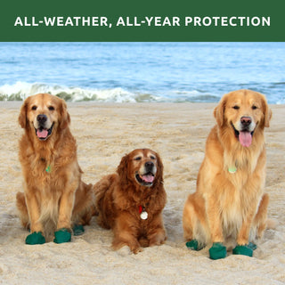 PawZ Rubber Dog Boots, 12 Boots, Classic Colors