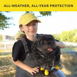 PawZ Rubber Dog Boots, 12 Boots, Classic Colors