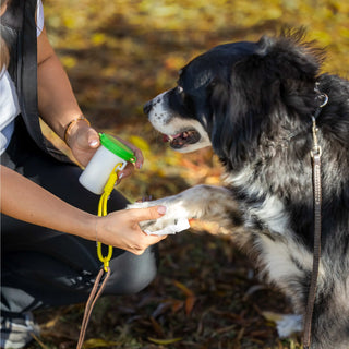 PawZ SANIPAW® Unscented, Odor-Eliminating Paw Wipes for Dogs