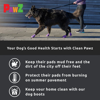 PawZ Rubber Dog Boots, 12 Boots, Black