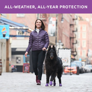 PawZ Rubber Dog Boots, 12 Boots, Classic Colors