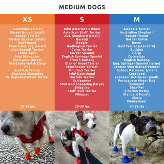 PawZ Rubber Dog Boots, 12 Boots, Classic Colors