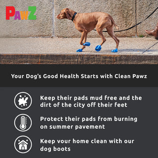 PawZ Rubber Dog Boots, 12 Boots, Black