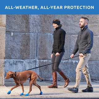 PawZ Rubber Dog Boots, 12 Boots, Classic Colors