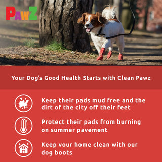 PawZ Rubber Dog Boots, 12 Boots, Classic Colors