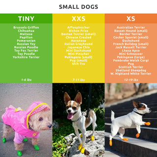 PawZ Rubber Dog Boots, 12 Boots, Classic Colors