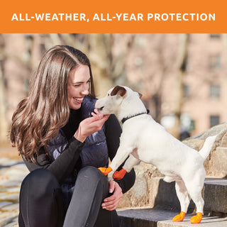 PawZ Rubber Dog Boots, 12 Boots, Classic Colors