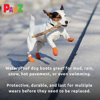 PawZ Rubber Dog Boots, 12 Boots, Black