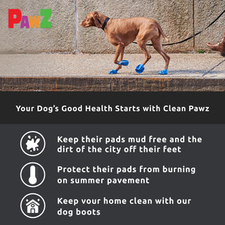 PawZ Rubber Dog Boots, 12 Boots, Black