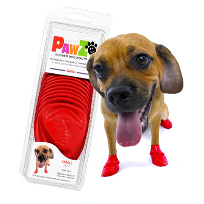 pawz dog boots size small